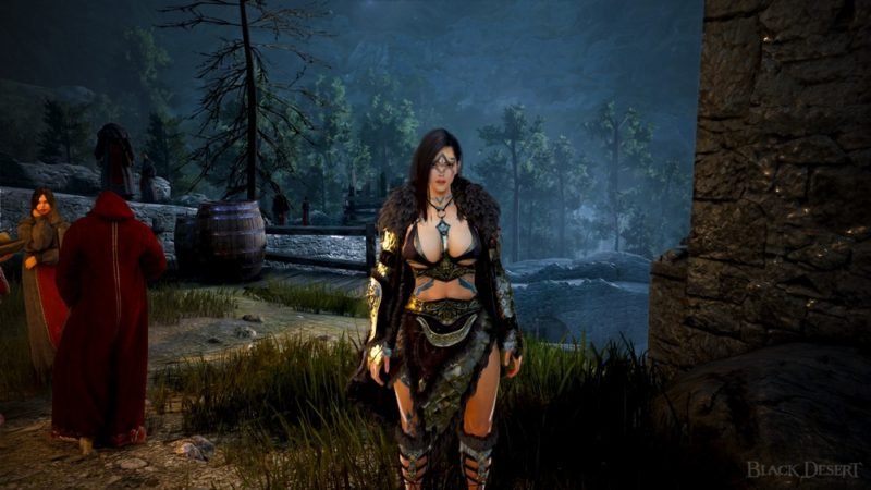 BLACK DESERT ONLINE BDO Best Solo PVE Grinding Class In 2024