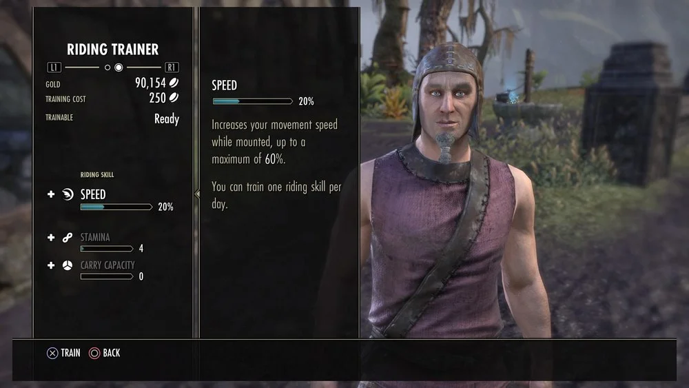 eso riding skill