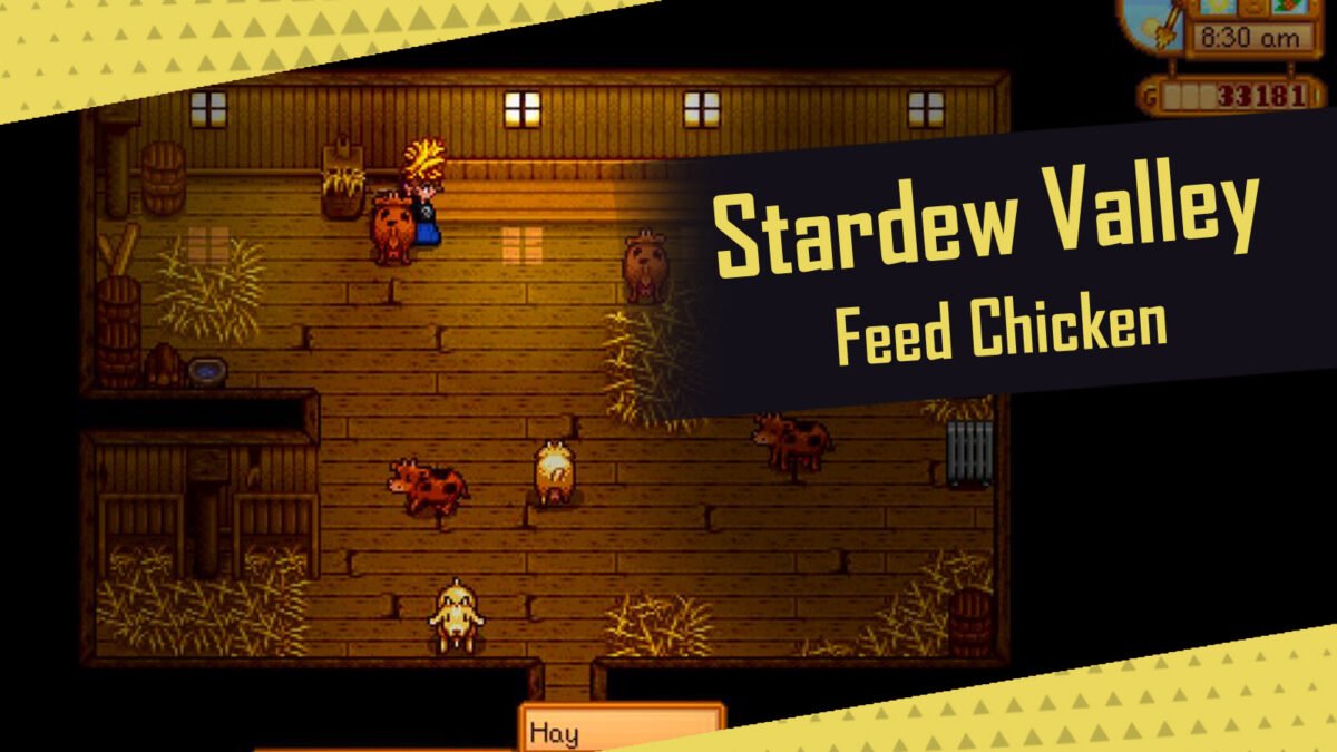 stardew-valley-how-to-feed-chicken-step-by-step