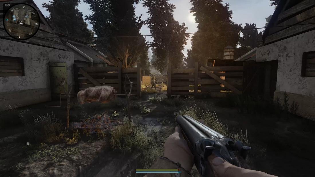 Stalker Anomaly