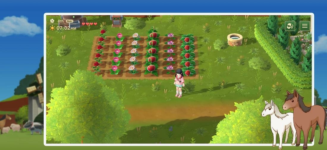 Harvest Moon